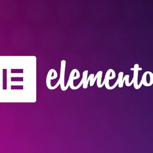 Elementor Pro